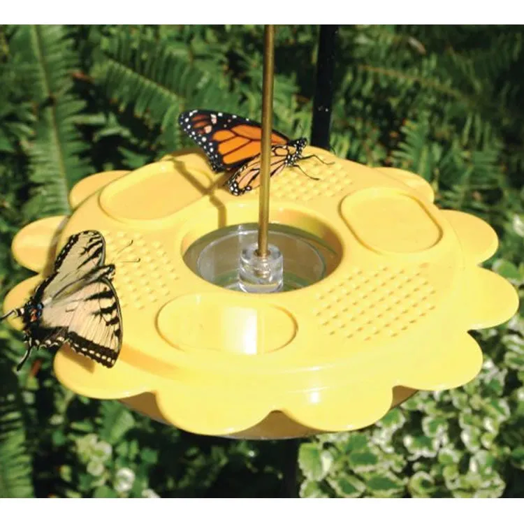 BirdsChoice Butterfly Feeder