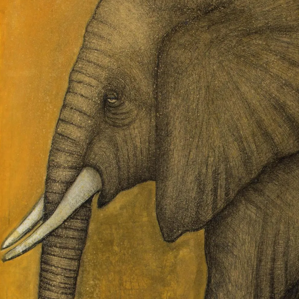 [elephant][limited edition print by seth b minkin]