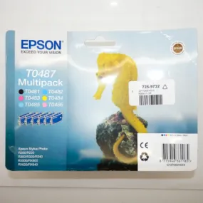 Epson T0487 Inkjet Ink Cartridge Multipack EPT04874010