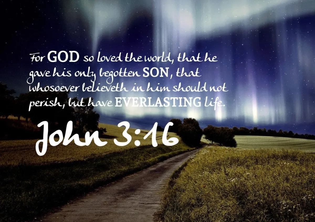 John 316 Kjv #13 Bible Verse Canvas Wall Art - Christian Canvas Wall Art