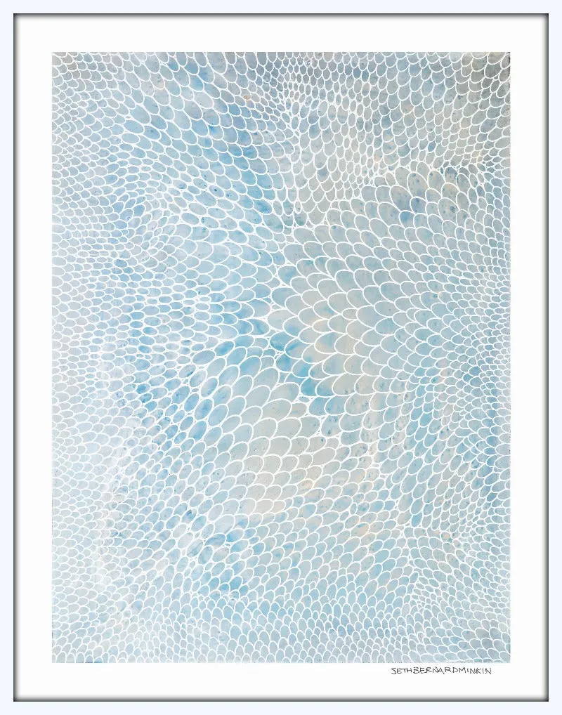 [oval scales][limited edition print by seth b minkin]