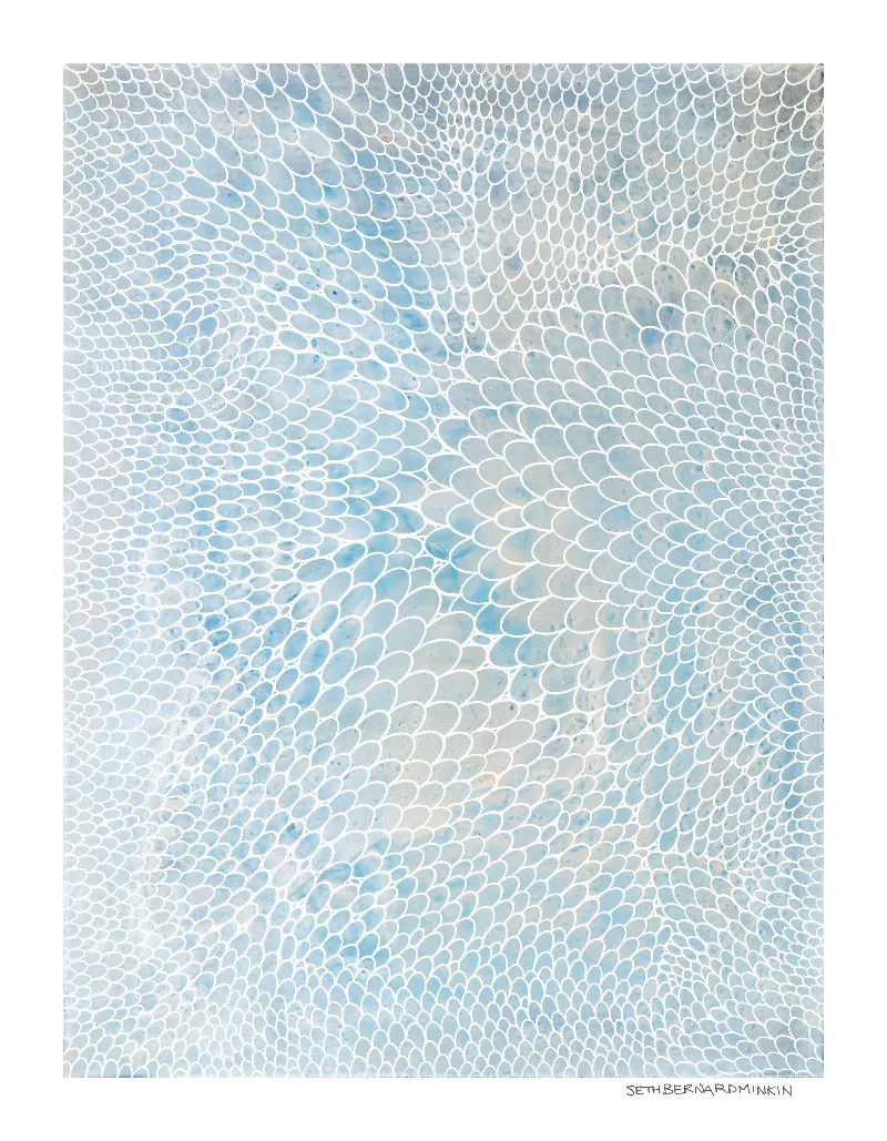 [oval scales][limited edition print by seth b minkin]